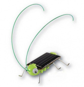 Солнечный кузнечик