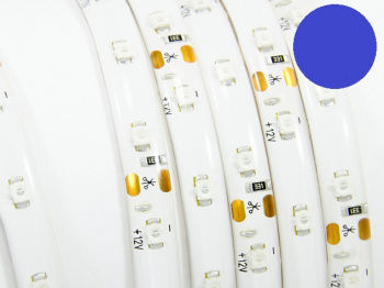 Светодиодная лента 3528, 60д/м, IP65, Синий